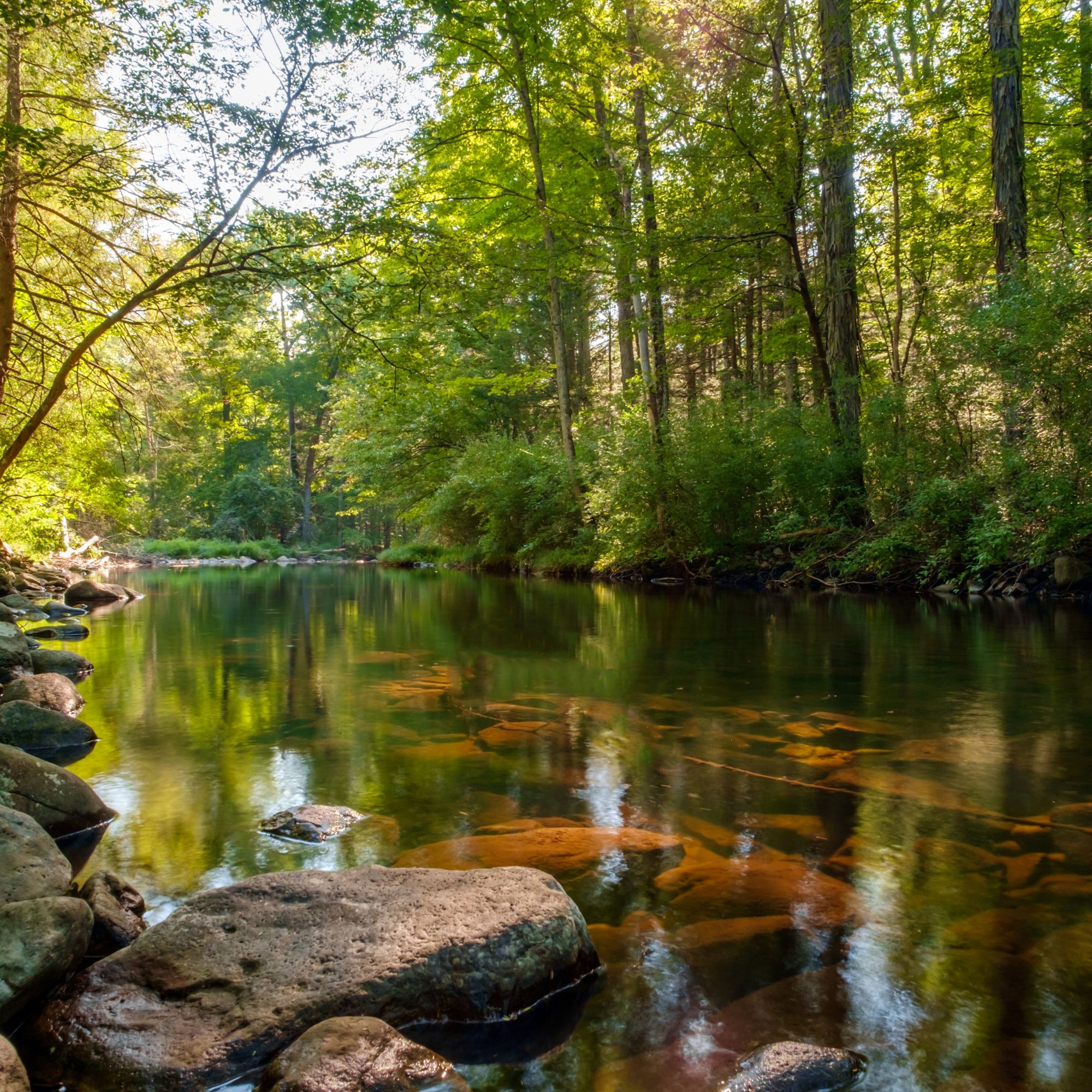 Resonance Space 共鳴之間 (2)